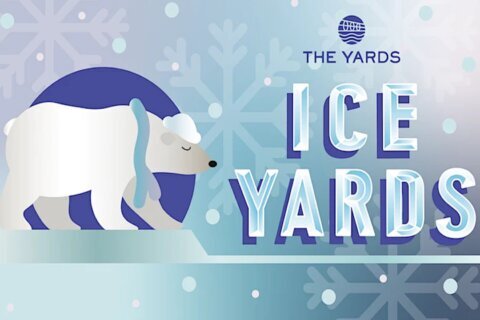 Ice Yards returns to Navy Yard with polar plunge to benefit Special Olympics DC