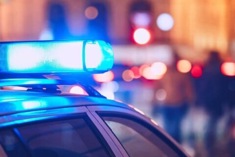 La acusan de atropellar mortalmente a su pareja; sus dos hijos iban en su carro, según la policía