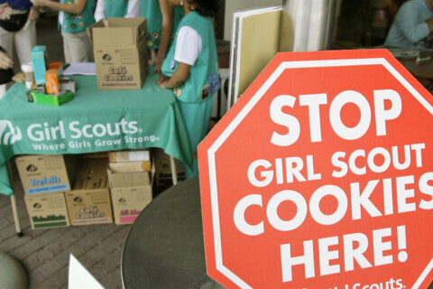 Rockville man charged with robbing Girl Scout troop