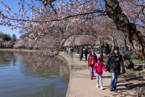 It’s the first day of spring: Here’s what that really means