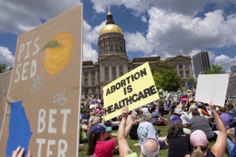 Georgia high court considers whether abortion law is void