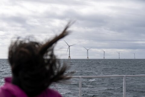 US energy officials release strategy to boost offshore wind