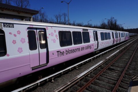Metro decorates trains, buses, SmarTrip cards, expands service for cherry blossoms