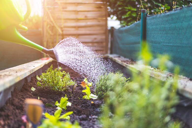 11 tips to get your garden ready for spring
