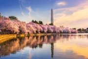 Where DC ranks on latest list of cities with best quality of life