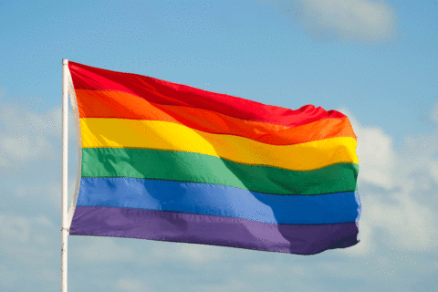 DC bill would create LGBTQ pride license plates