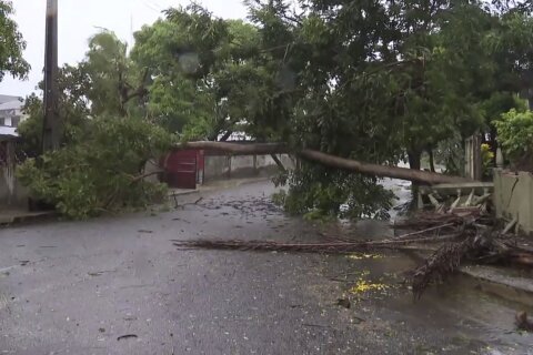 Death toll climbs as Cyclone Freddy slams Malawi, Mozambique