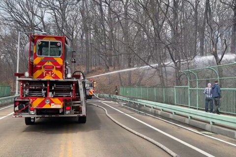 Firefighters battle ‘significant’ brush fire in DC’s Rock Creek Park