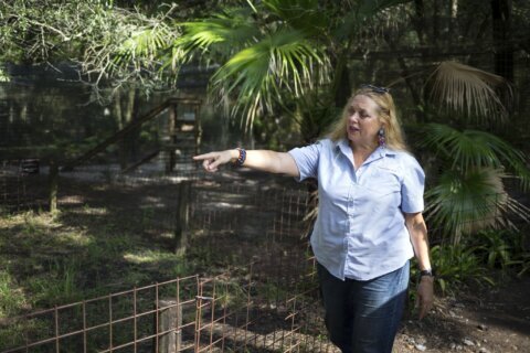 Owners of big cat refuge from ‘Tiger King’ selling property
