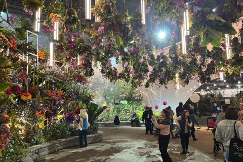 At the Philadelphia Flower Show, display gardens bloom