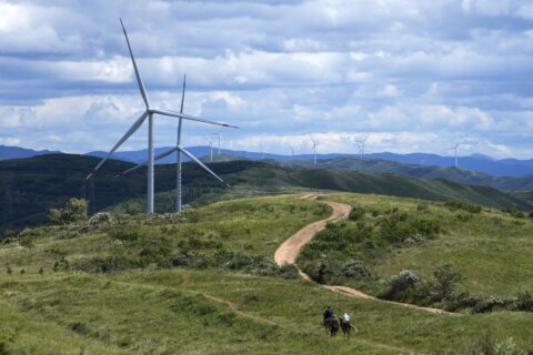 Wind industry predicts bounceback and rapid growth in 2023
