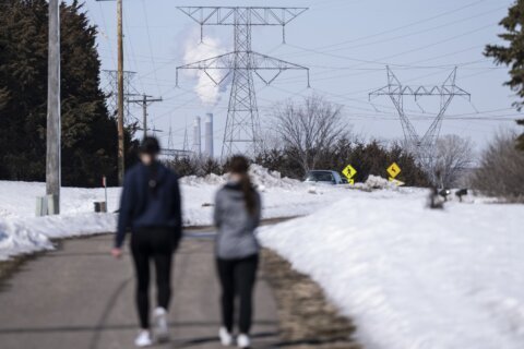 Minnesota nuclear plant shuts down for leak; residents worry