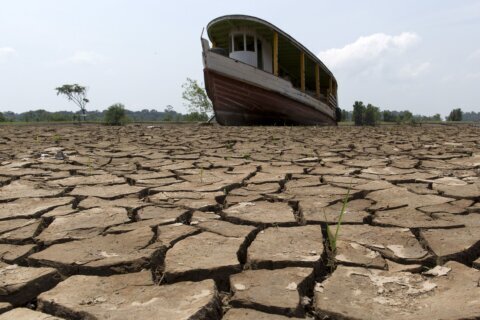 Lengthy droughts, severe flooding getting more intense as planet warms, study finds