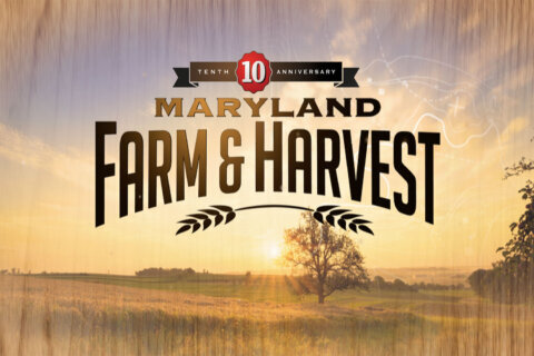 ‘Maryland Farm & Harvest’ airs special 10th anniversary episode Tuesday night on MPT