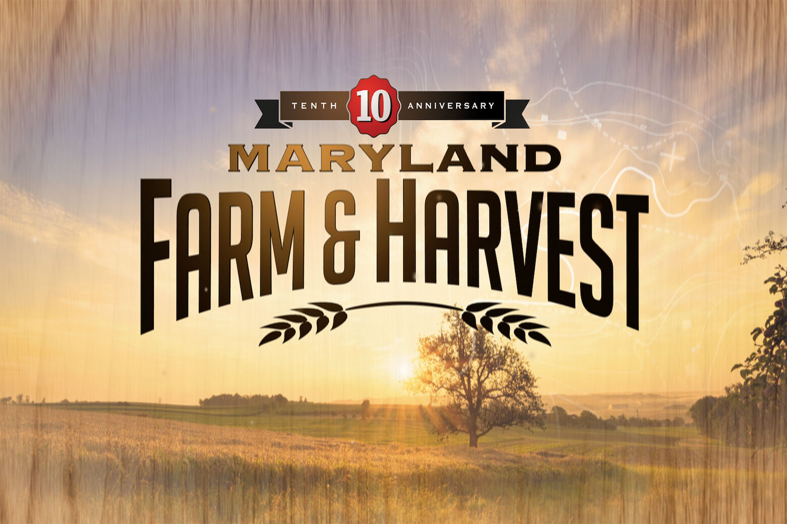 ‘Maryland Farm & Harvest’ airs special 10th anniversary episode Tuesday night on MPT – WTOP News