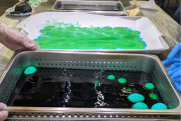 The White House Easter eggs being dyed (Courtesy Andrew McMillan/Braswell Family Farms)
