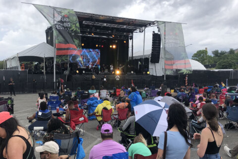 Rainstorm dampens National Cannabis Festival