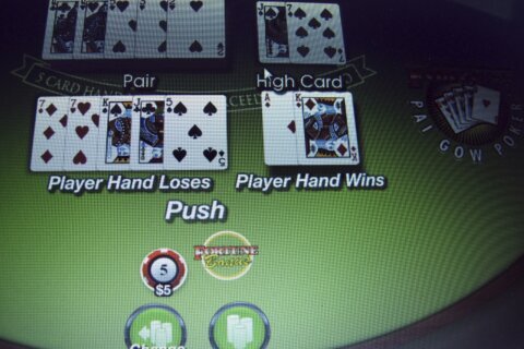 Panel says New York, Maryland and maybe California could offer internet gambling soon