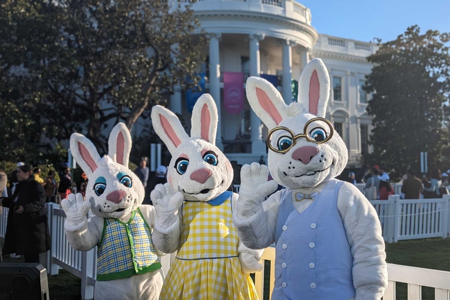 抓住机会：在这里报名，有机会参加白宫复活节彩蛋滚动活动