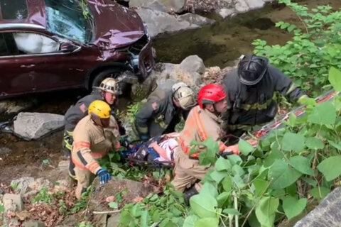 Woman hospitalized after car plummets into ravine in Rock Creek Park