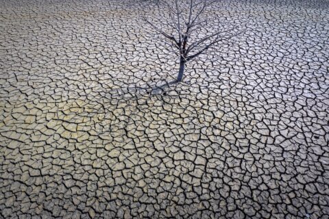 Spain pleads for EU crisis funds as drought hits farmers