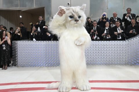 Inside the Met Gala: A furry feline star, a tardy Cinderella