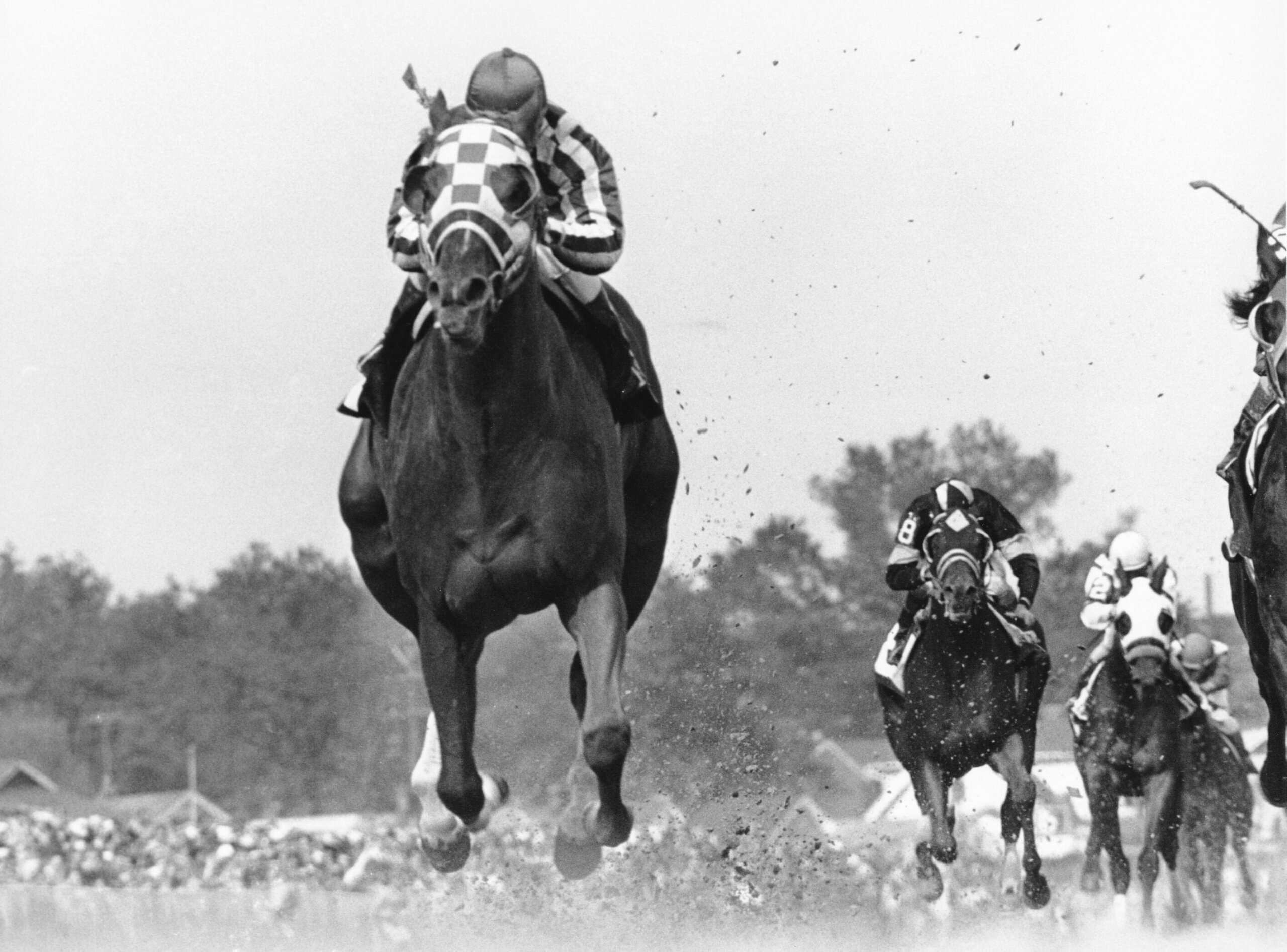 Triple Crown winner Secretariat still dominant 50 years on WTOP News