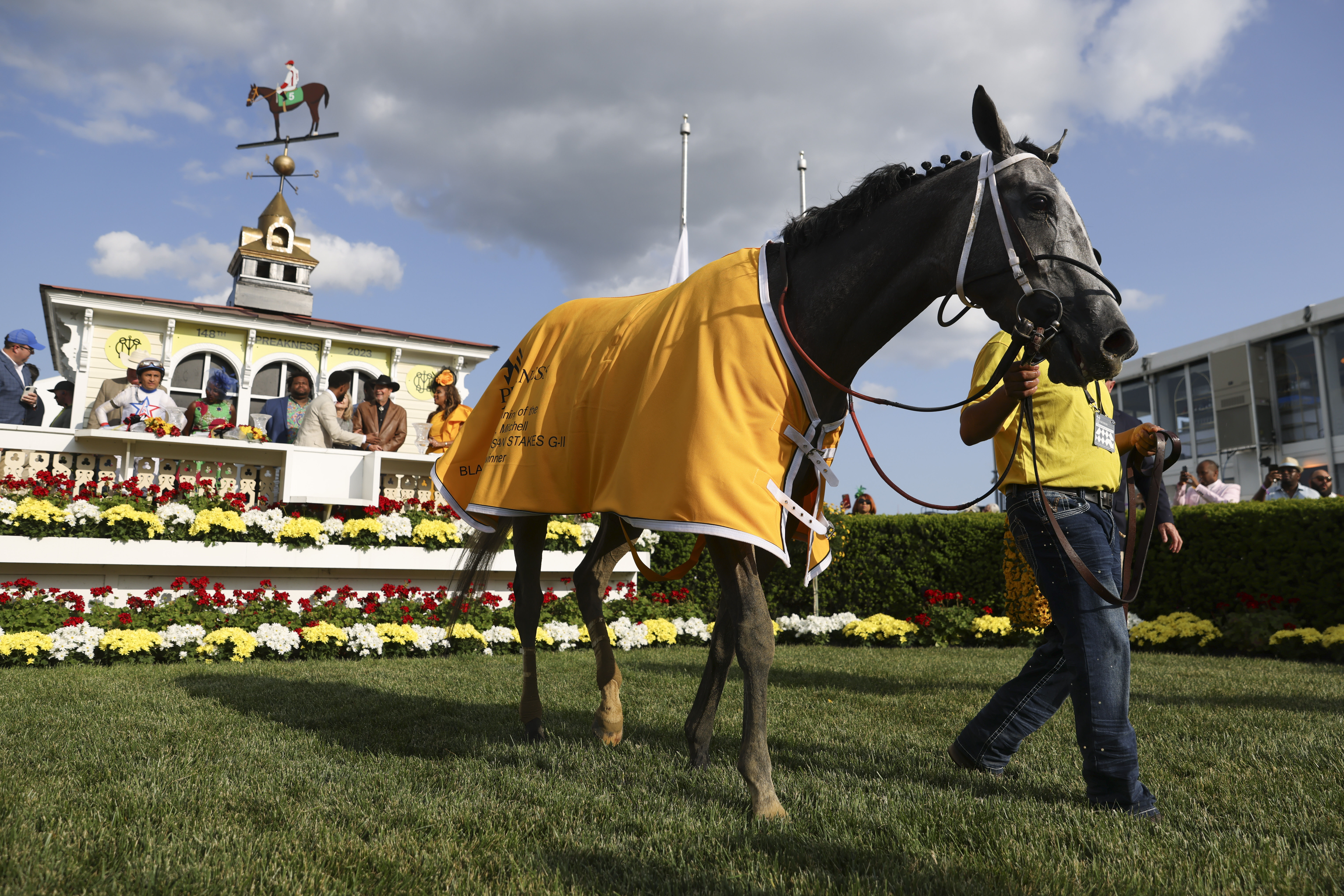 Taxed is paraded in the winner's circle after winning the 98th running of the Black-Eyed Susan horse race at Pimlico Race Course, Friday, May 19, 2023, in Baltimore. (AP Photo/Julia Nikhinson)