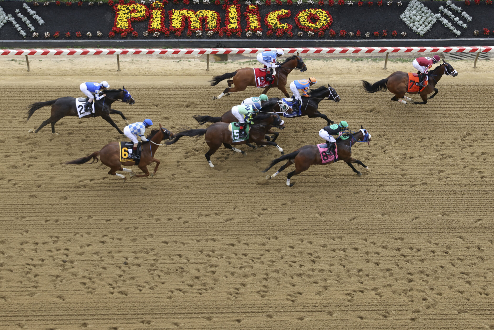 Horses racing at Pimlico