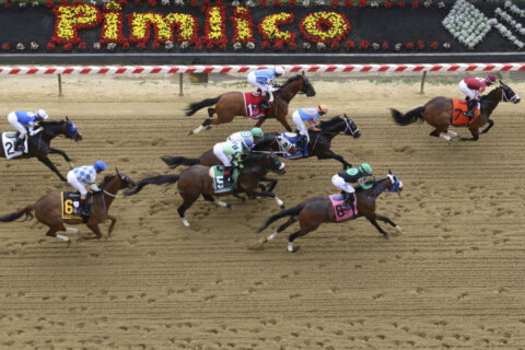 Md. authority supports overhaul of horse racing industry, starting with complete rebuild of Pimlico