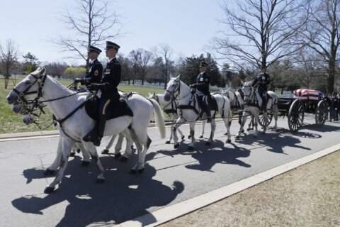 Army extends Arlington National Cemetery’s horse use suspension to focus on rehabilitation