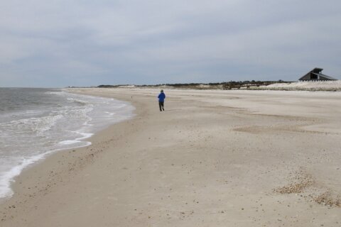 Surf's up! Florida's St. George Island beach named nation's best in annual ranking