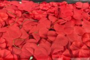 Why you see red poppies around Memorial Day
