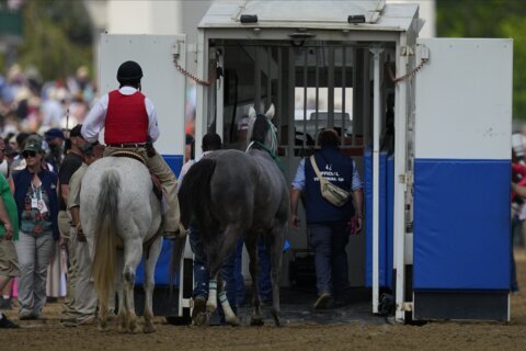 Horse deaths cast shadow as Triple Crown shifts to Preakness