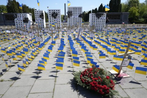 Ukraine flags block Russian ambassador's path on Victory Day