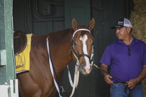 Triple Crown hopeful Mage heads to the Preakness with hundreds of owners cheering him on
