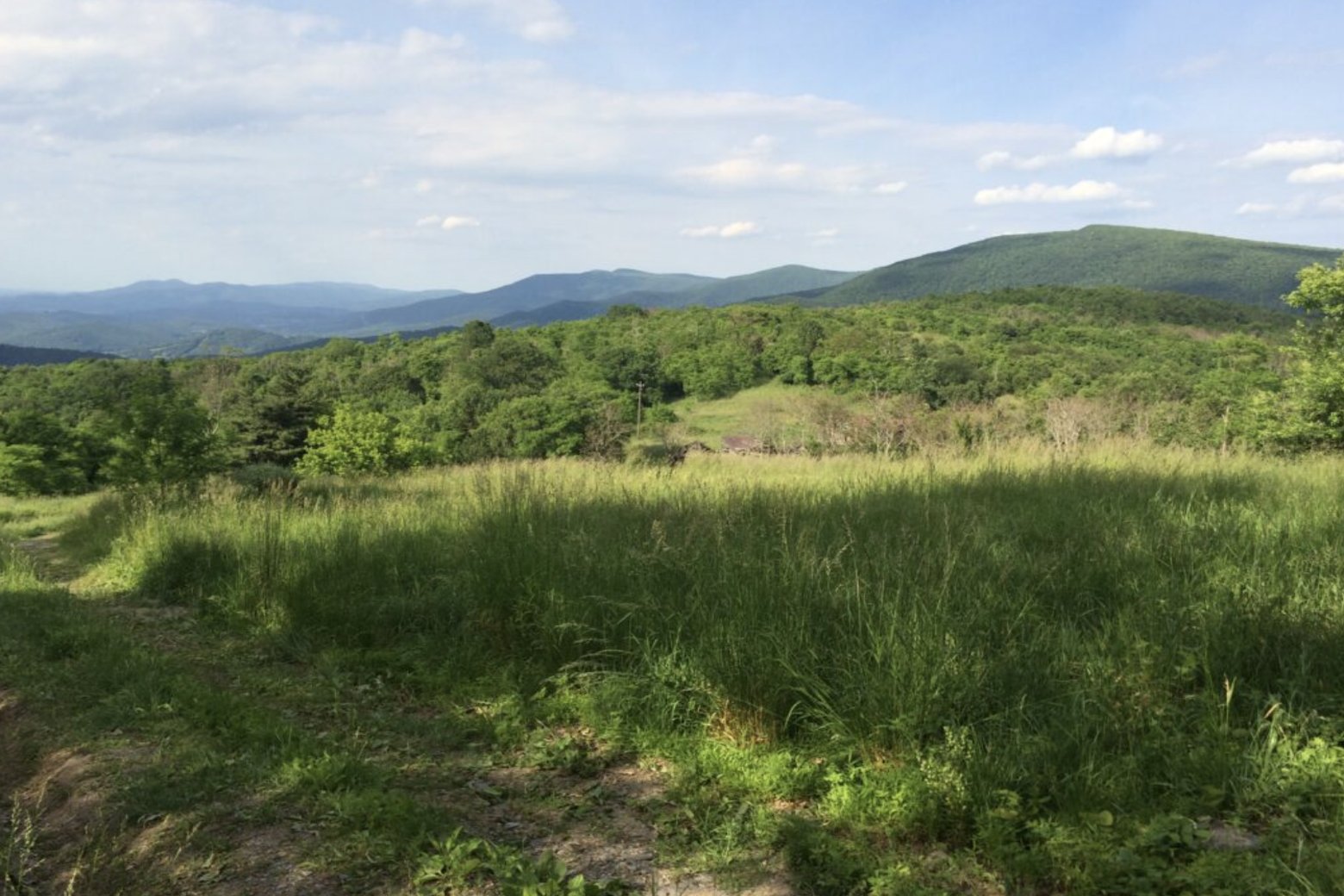 Shenandoah adds 1,000-acre Tanners Ridge woodlands, Naked Creek to its park land - WTOP News