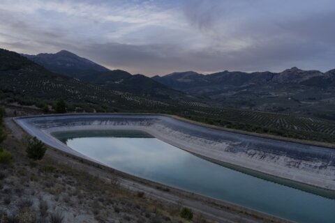 Spanish Civil Guard raid illegal wells amid drought