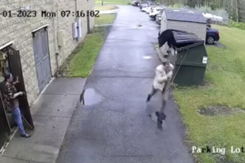 Bear gives West Virginia principal a roaring wake-up call