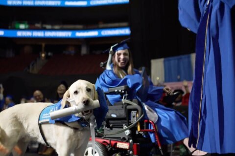 Service dog also gets diploma at New Jersey college graduation