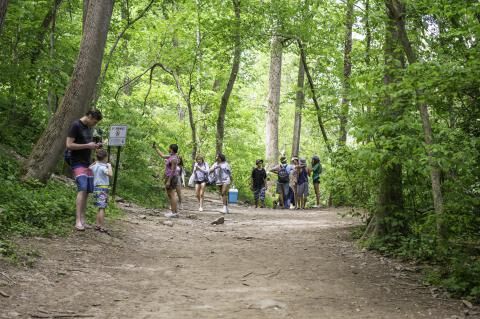This Va. nature preserve is ‘not the place’ for swimming or alcohol, Fairfax Co. Park Authority says
