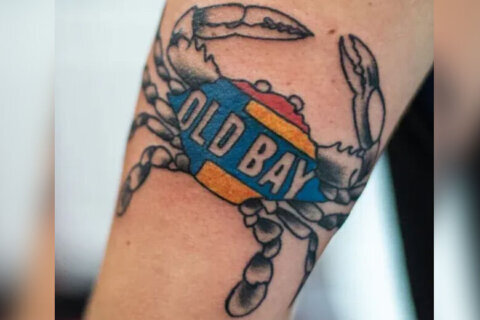 Love Old Bay? Free tattoos for spice fans during Preakness Week