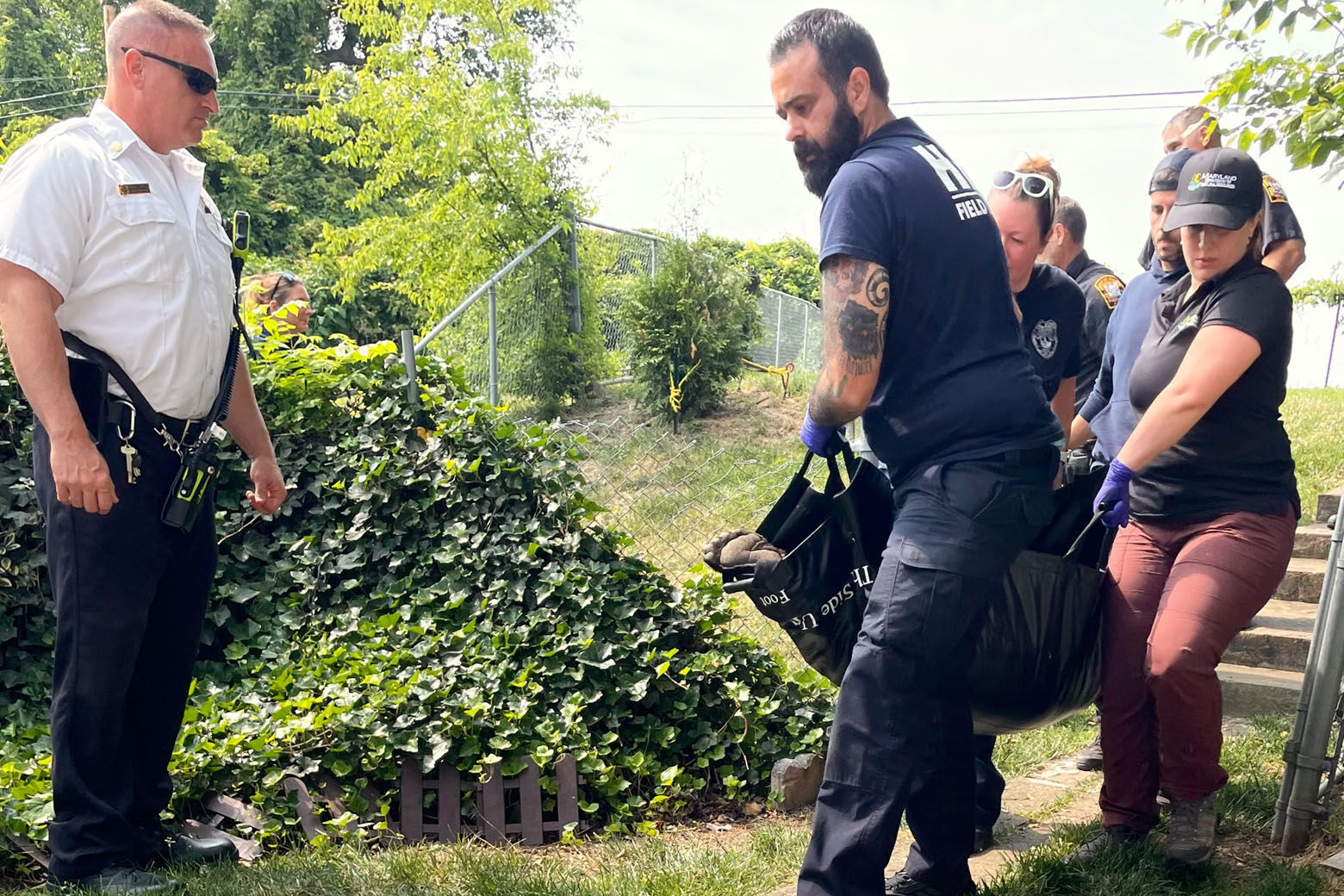 The bear was safely sedated and could soon be released into the wild. (Courtesy D.C. Fire and EMS)