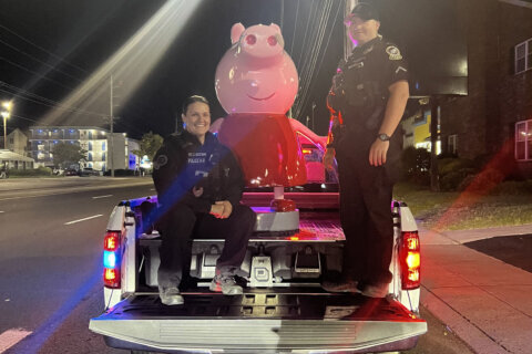 Who took Peppa Pig? Ocean City police ask for help finding suspects