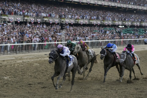 Another horse dies at Belmont Park, 2nd fatality in 24 hours after Belmont Stakes