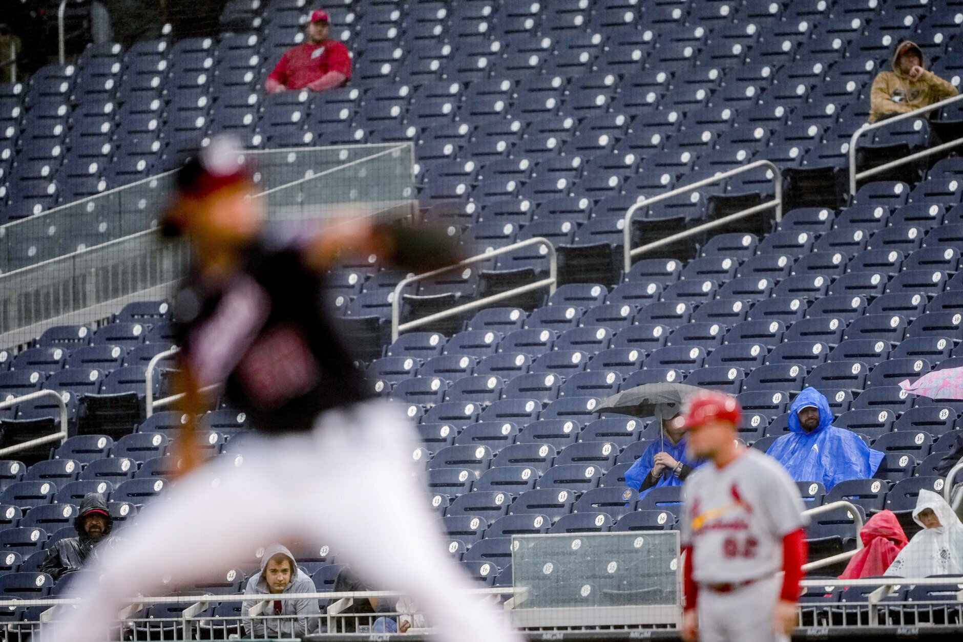Cardinals-Nationals game suspended due to weather