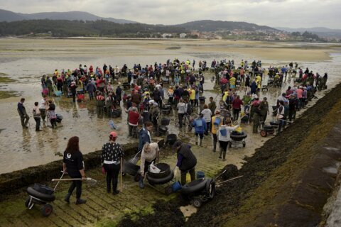 AP PHOTOS: As Spain’s ‘peasant farmers of the sea,’ groups of women dig for clams
