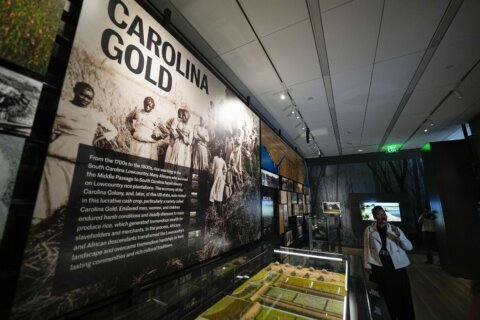 At International African American Museum opening, a reclaiming of sacred ground for enslaved kin