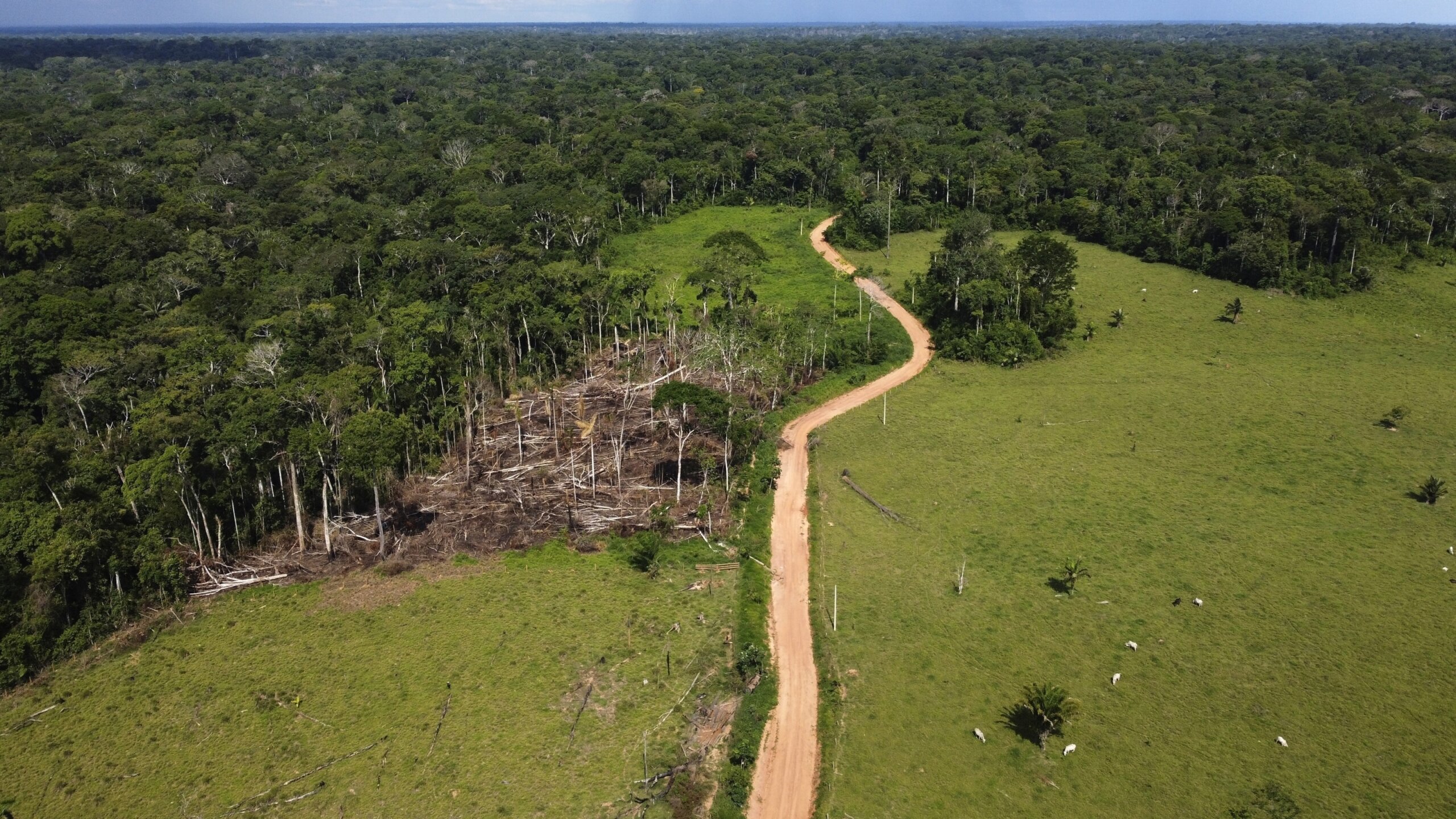 Brazil’s Lula lays out plan to halt Amazon deforestation, make country “global reference” on climate – WTOP News