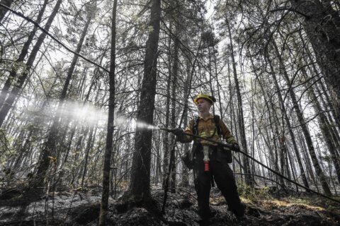 Halifax residents board buses to view homes destroyed by wildfires